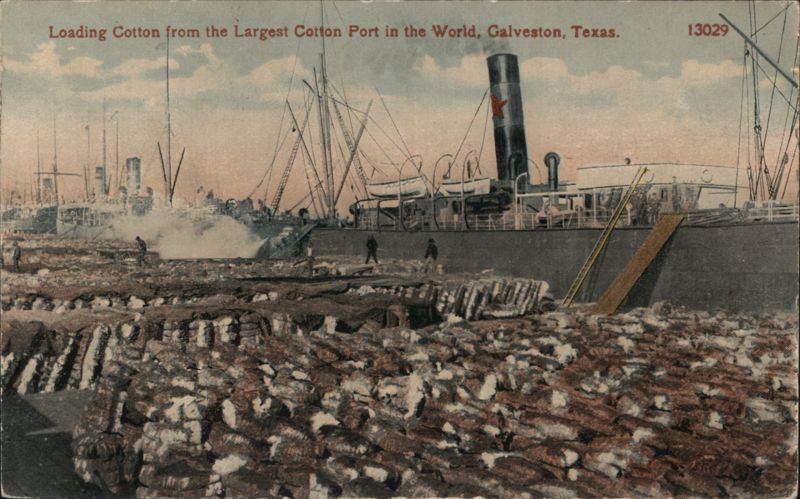 Loading Cotton from the Largest Cotton Port in the World Galveston Texas