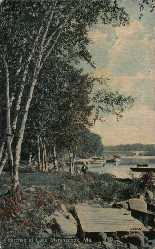 Birches at Lake Maranacook, Me. Winthrop Maine