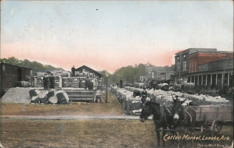Cotton Market, Lonoke, AR Arkansas