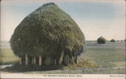 The Marshes, Salisbury Beach, Mass. Postcard