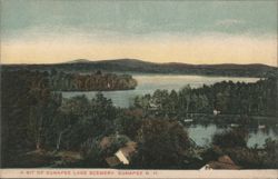 A Bit of Sunapee Lake Scenery Postcard