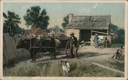 Uncle Abe's Cabin, Man with Ox and Cart Postcard
