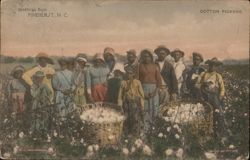 Cotton Pickers, Pinehurst, N.C. Postcard