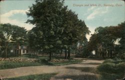 Triangle and White St., Danbury, Conn. Postcard