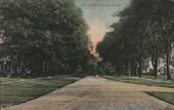 Elm Street, Canaan, CT Postcard