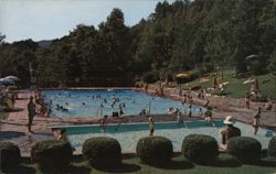 Swimming Pool at Fontana Village Resort Postcard