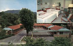 American Court Motel, Asheville, NC Postcard