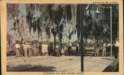 Shuffleboard, The Great Floridian Pastime Postcard