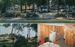 Little Switzerland Cottages on Big Squam Lake Postcard