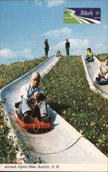 Attitash Alpine Slide, Bartlett, N. H. Postcard