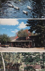The Old Forge Restaurant, Rindge, NH Postcard