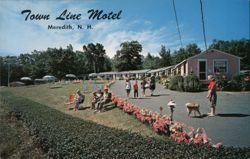 Town Line Motel, Meredith, N.H. Postcard