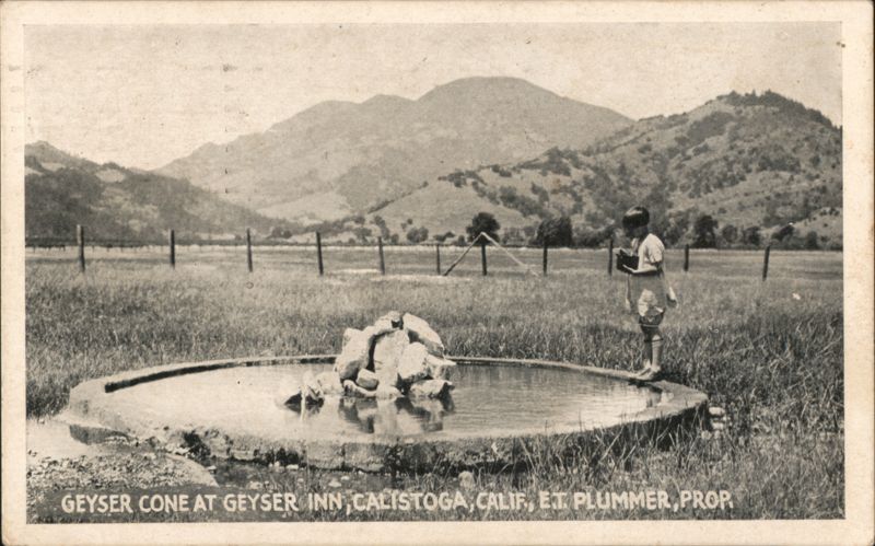 Geyser Cone at Geyser Inn, Calistoga, CA California