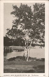The Birches, Gurnet, New Meadows River, ME Postcard