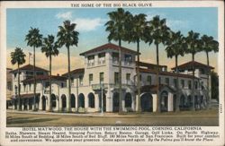 Hotel Maywood - Home of the Big Black Olive Postcard