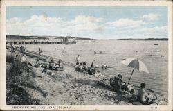 Beach View, Wellfleet, Cape Cod, MA Postcard