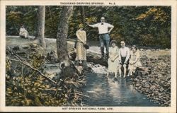 Thousand Dripping Springs, No. 2, Hot Springs National Park Postcard