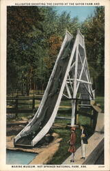 Alligator Shooting the Chutes, Gator Farm & Marine Museum Postcard