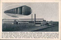 National Fruit Product Company Plant, Winchester, VA Postcard