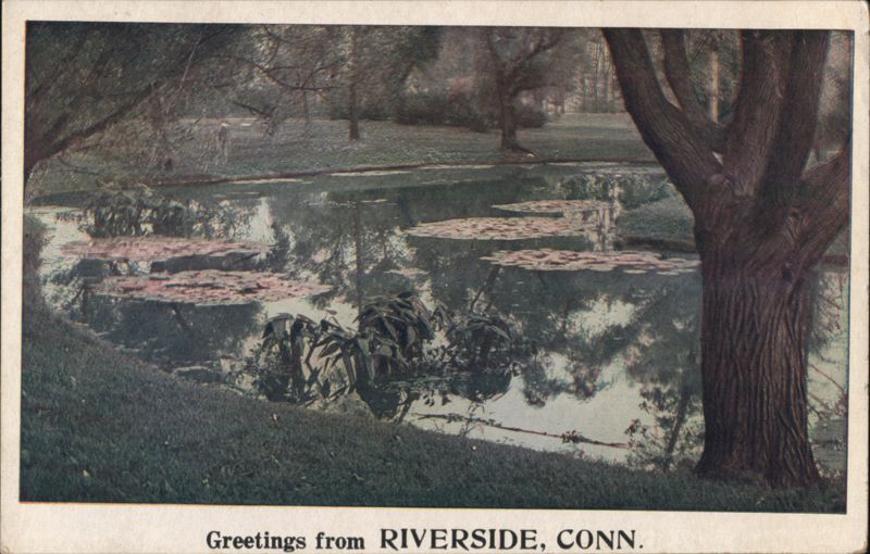 Lily Pad Pond in Riverside Connecticut