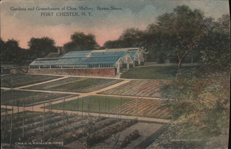 Gardens and Greenhouses of Chas. Mallory, Byram Shore Port Chester New York