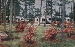 Chief Tomochichi Modern Cottages and Restaurant Postcard