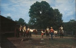 Trail Ride Preparation at Village Stables, Cherokee Village Postcard