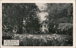 The Homestead, "An Inn Everybody Likes", Greenwich Postcard