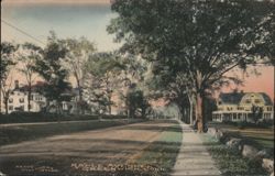 Maple Avenue, Greenwich, Conn. Postcard