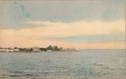 Shoreline, Old Greenwich, Conn. Postcard
