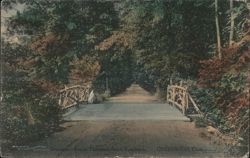 Driveway, Ernest Thompson Seton Residence Postcard