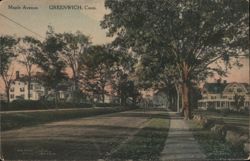 Maple Avenue, Greenwich, Conn. Postcard