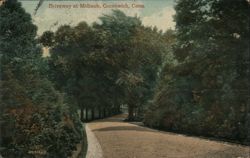 Driveway at Milbank, Greenwich, Conn. Postcard