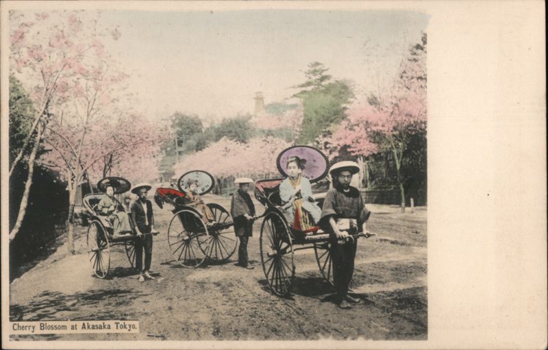 Cherry Blossom at Akasaka, Tokyo Japan