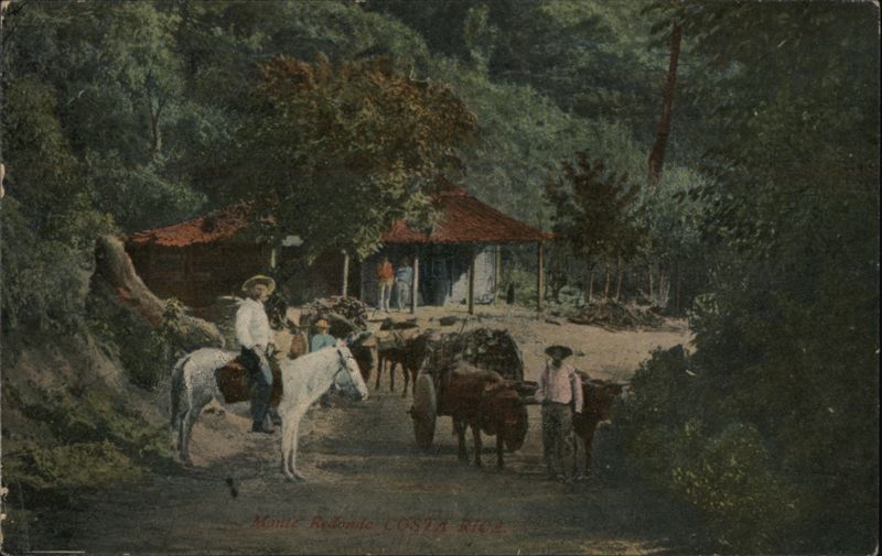 Man on Horseback and Ox-Cart, Monte Redondo Costa Rica
