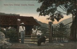 Native farm, Chirique Country, Panama Postcard