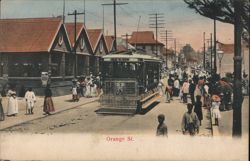 Trolley Car on Orange St., Kingston Postcard