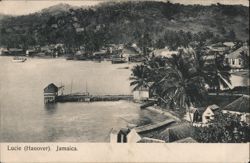 Coastal View of Lucie (Hanover), Jamaica Postcard