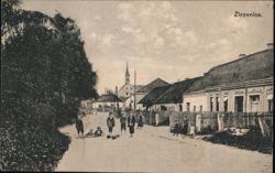 Street Scene in Žirovnice Postcard