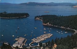 Roche Harbor Yacht Basins and Marina Postcard