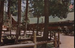 Ducey's Bass Lake Lodge, A Modern Mountain Resort Postcard