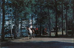 Horseback Riding, Camp Lake Hubert for Girls, Lake Hubert, MN Postcard
