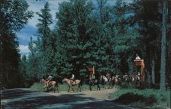 Horseback Riding at Camp Lincoln, Lake Hubert, MN Postcard