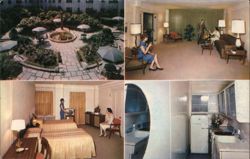 Alcazar Hotel Patio, Interior Rooms, and Lounge Postcard