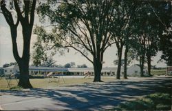 Grand View Motel with Trees and Play Area Postcard