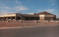 B.P.O. Elks Lodge 385 with Elk Statue, Tucson Postcard