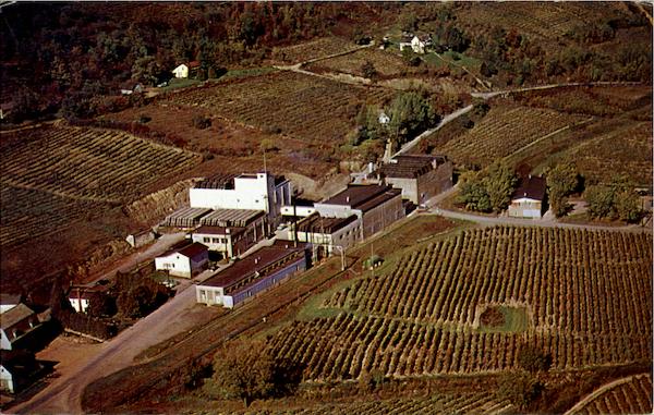 Widmer Wine Cellars Inc. Naples New York