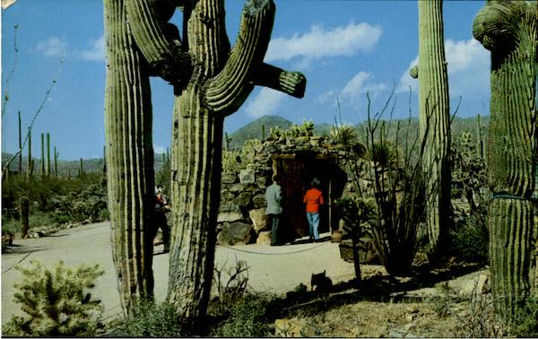 Tunnel Entrance Arizona Sonora Desert Museum Tucson