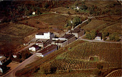 Widmer Wine Cellars Inc. Naples, NY Postcard Postcard