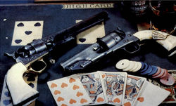 Harold's World Famous Gun Collection And Museum Postcard